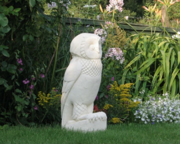 Owl in garden
