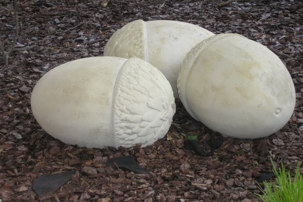  Acorns