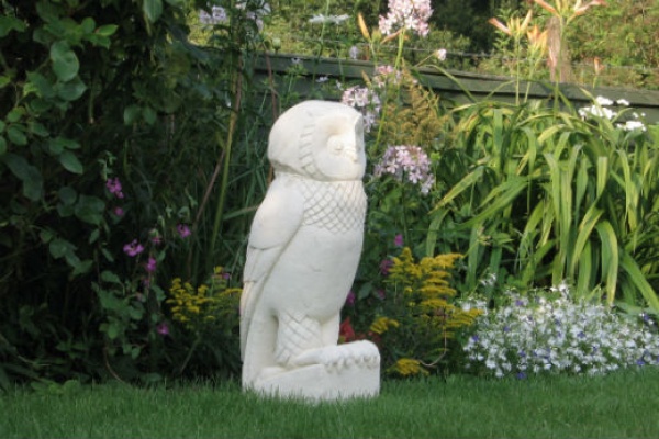 Owl in garden